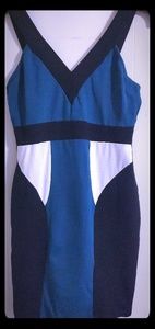 Color block bodycon dress